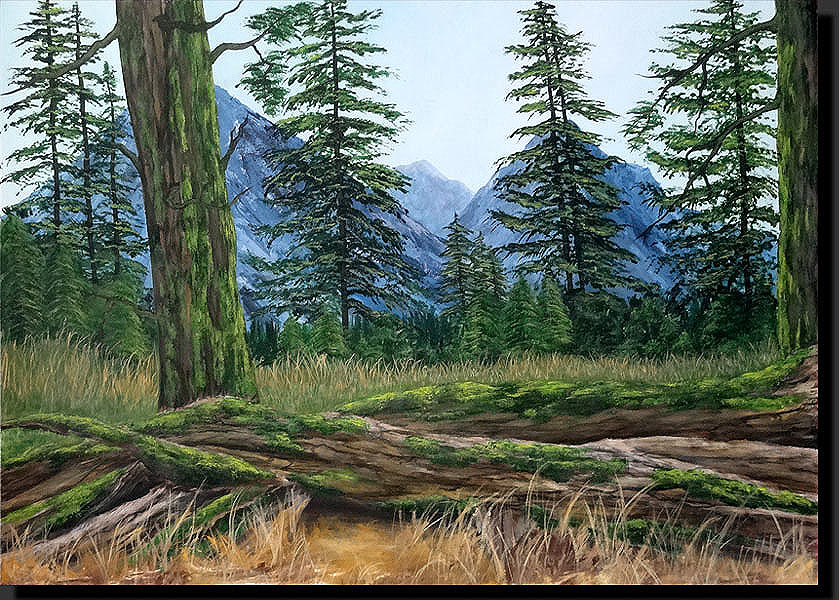 toile acrylique paysage tronc d'arbre montagne sapins adda33 dominique lefort